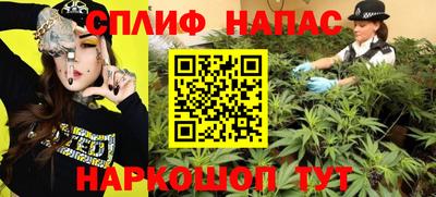 бошки Будённовск