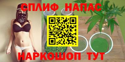 бошки Будённовск