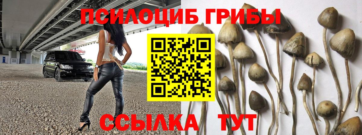 Муром  Галлюциногенные грибы Psilocybe  Вход с VPN 