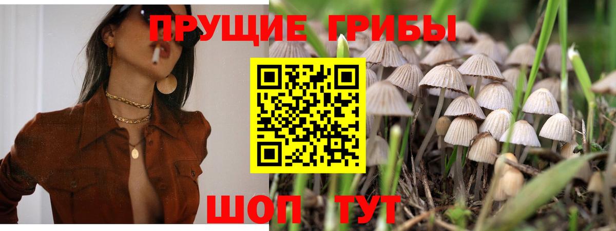 Галлюциногенные грибы мицелий Муром